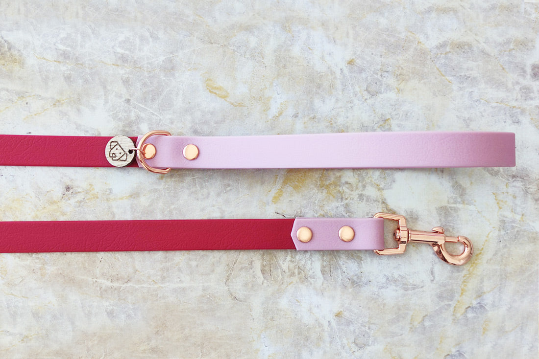 Trela Designer - personalizada