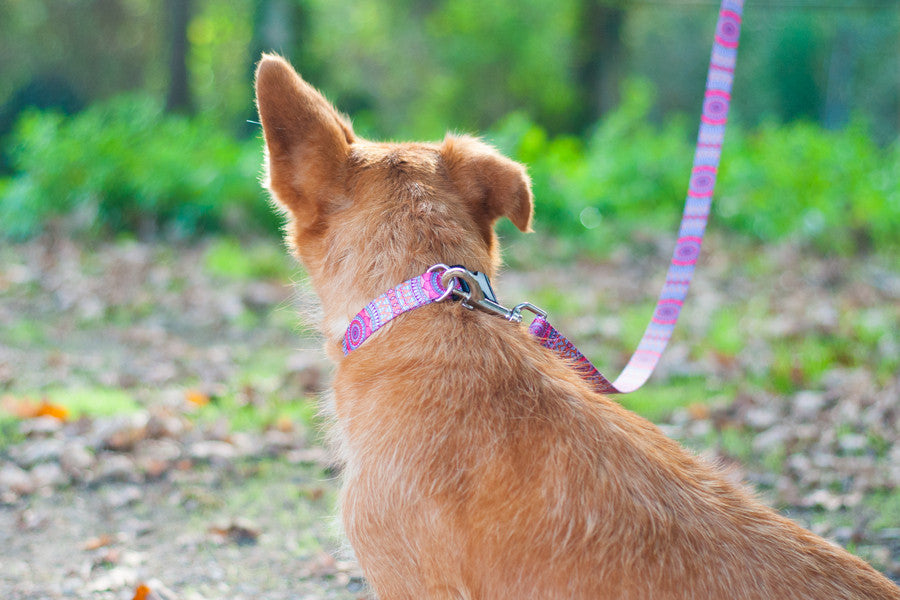 Joplin Leash