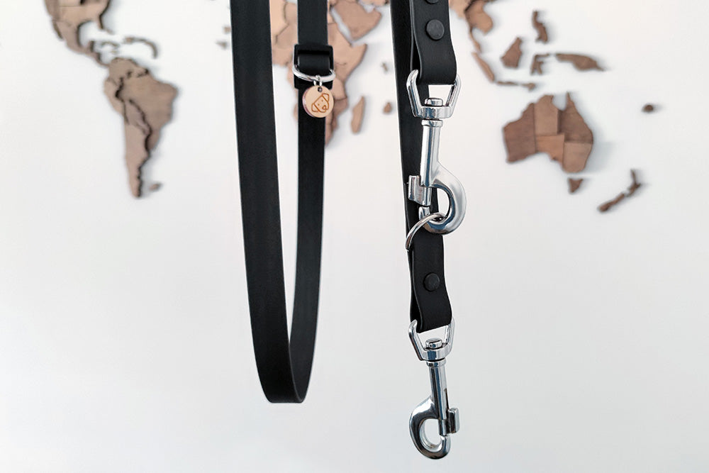 Multi Leash