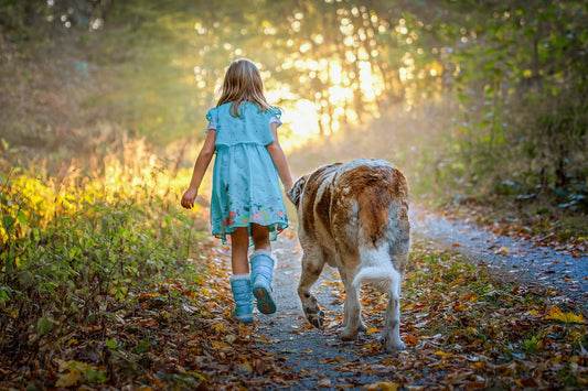 11 motivos para ‘dares’ um cão ao teu filho