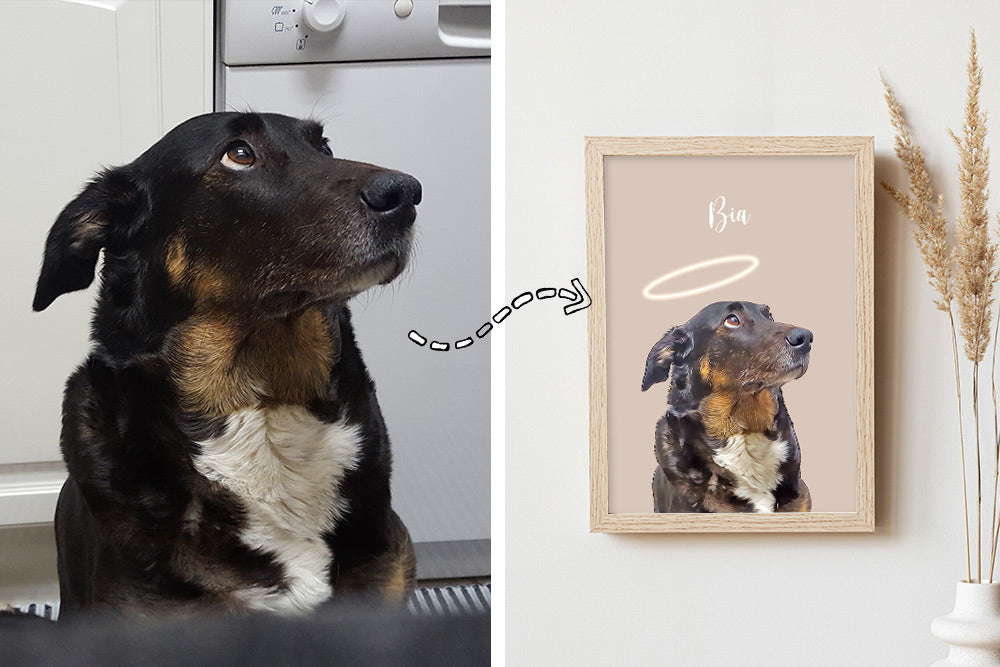 O presente perfeito para quem ama animais: retratos personalizados que celebram os nossos companheiros de quatro patas