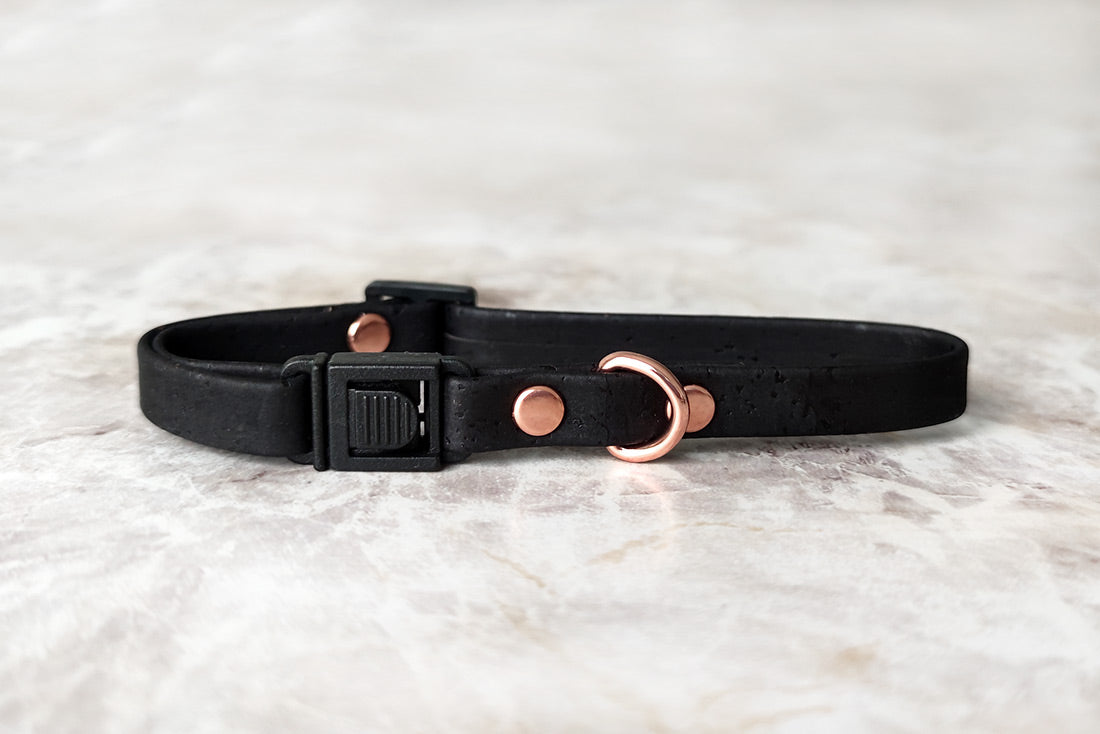 Coleira Corky Blacky Mini