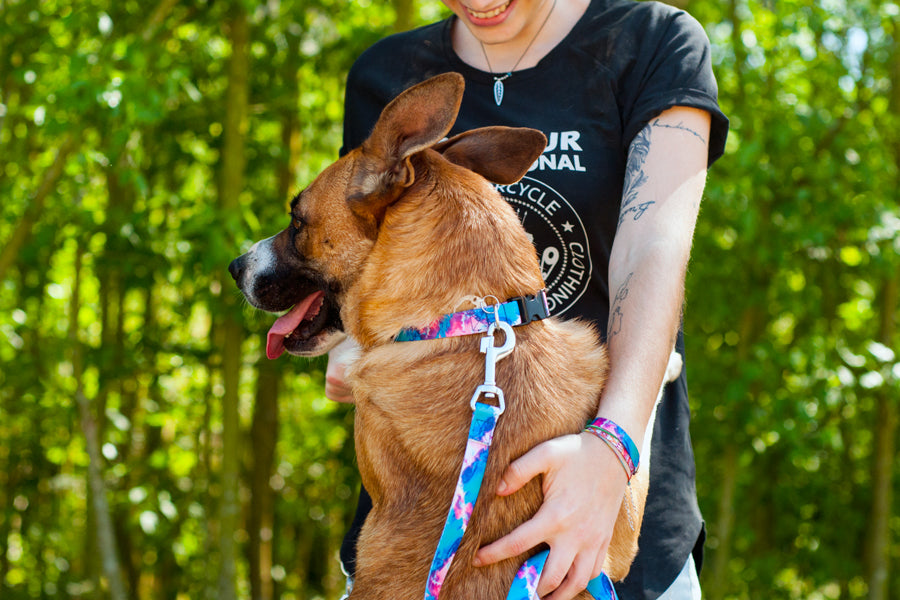 Supernova Leash