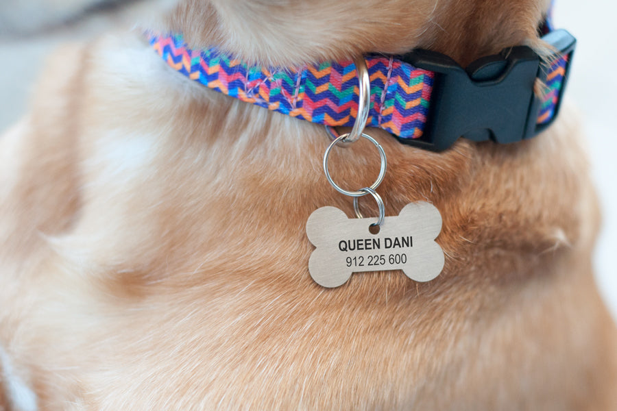 Bone ID tag