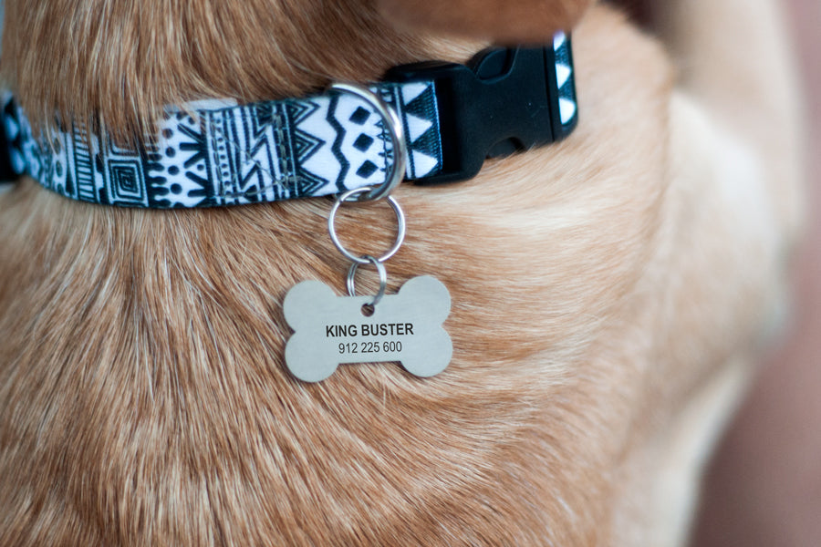 Bone ID tag