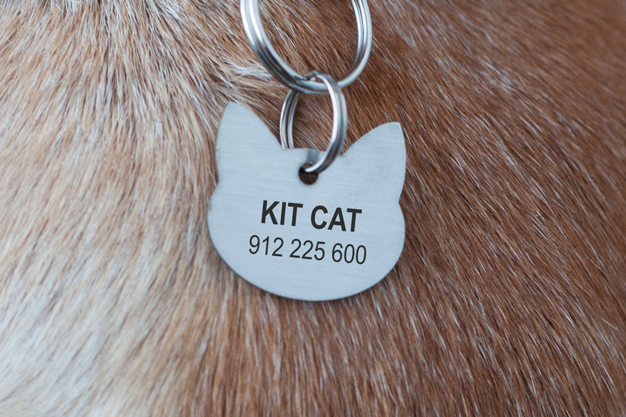Kitty ID tag