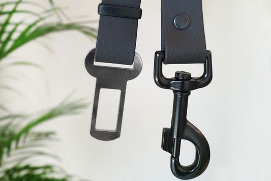 Safety Belt