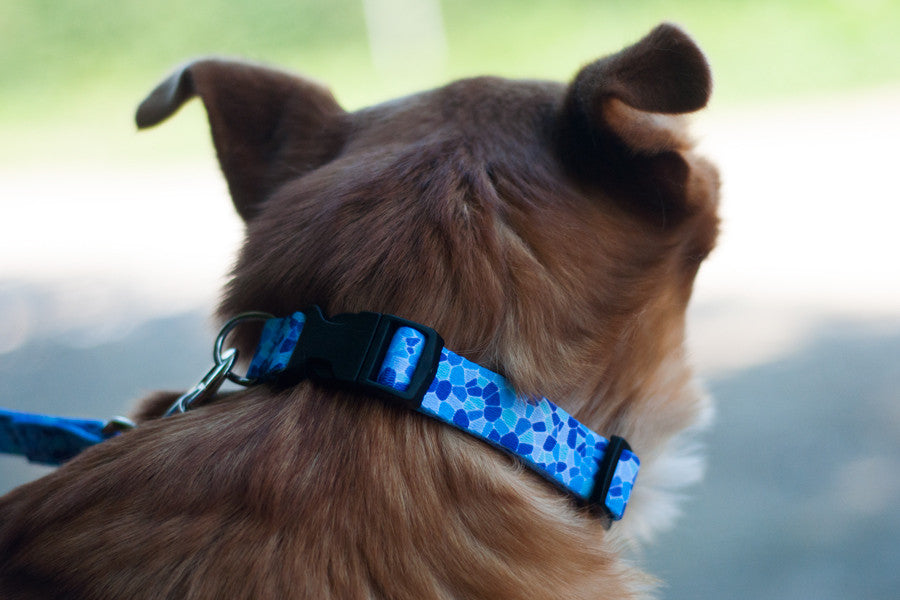 Guell Collar