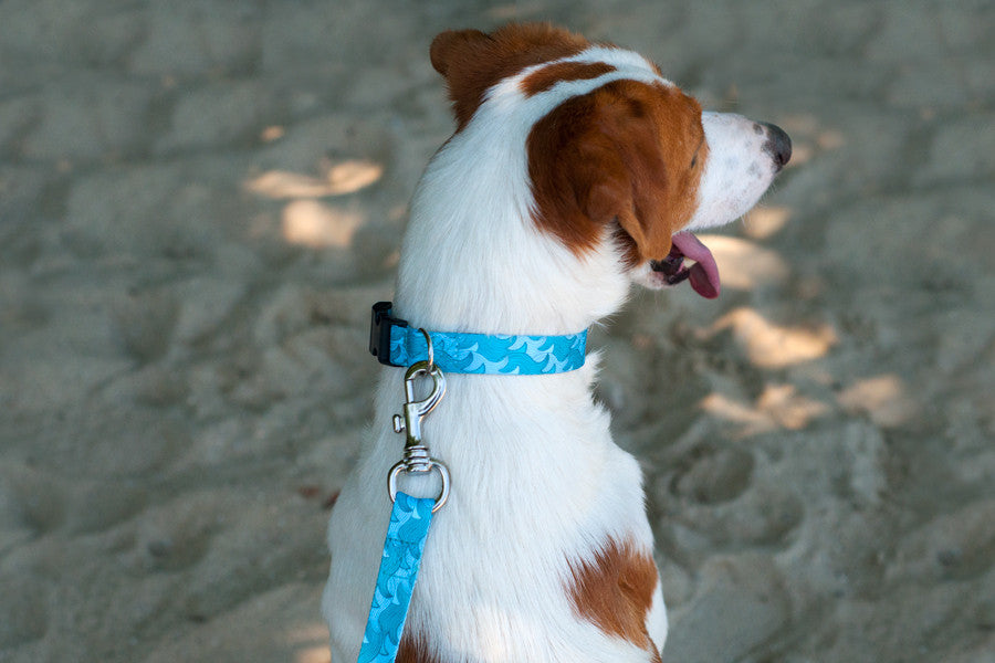 Lizzy Leash