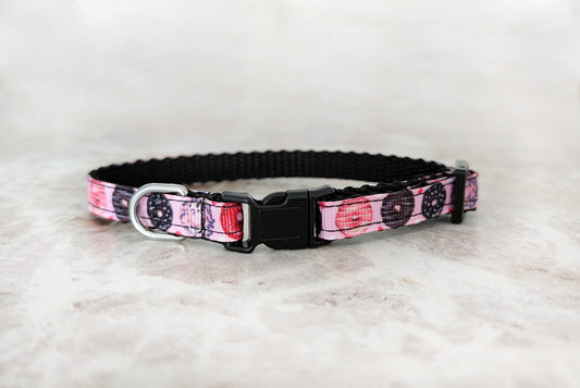 Catnut Mini Collar