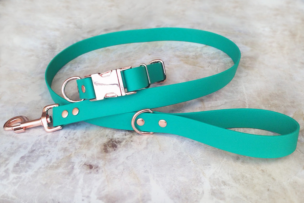 Lagoon Leash