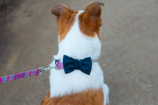 Strauss Bowtie