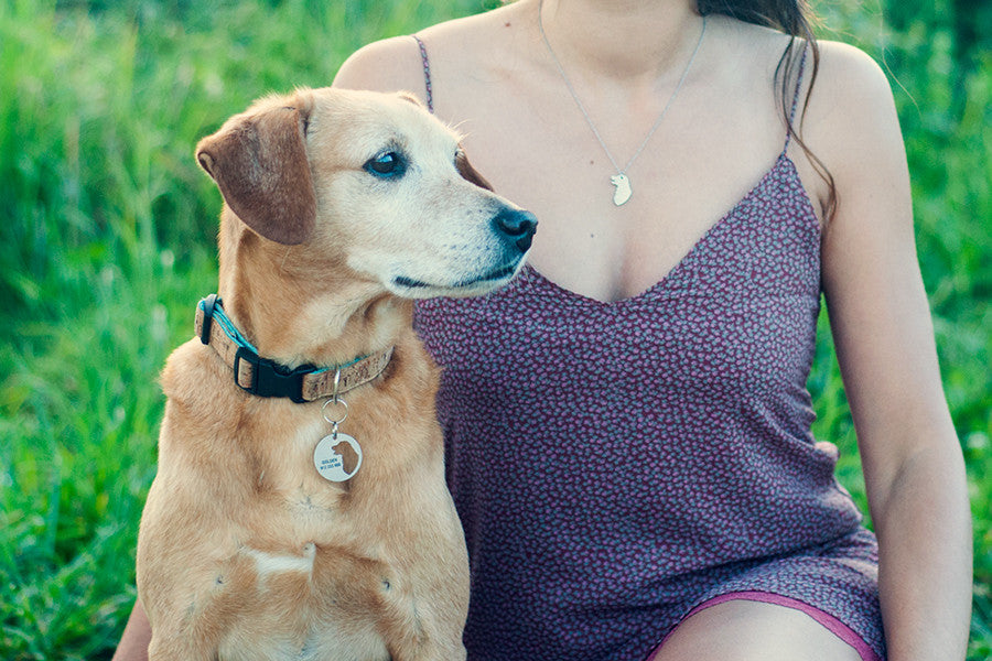 Com a medalha e colar BFF, garante a segurança do seu animal de estimação e ganha um acessório que a liga ao seu cão. Garanta a segurança do seu amigo de quatro patas com a medalha BFF - com gravação personalizável, opção de gravação em 2 lados, gravação a laser durável e chapa anti-ferrugem resistente. Feita com aço inox escovado, em Portugal.