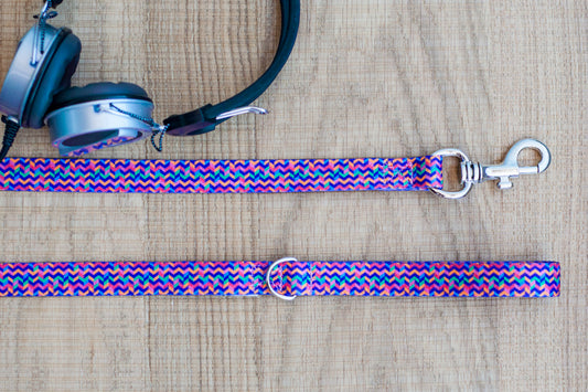 Disco Leash